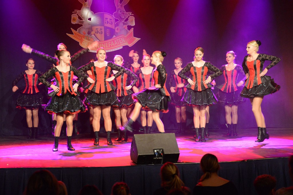 ../Images/Dansmarieke festival 2015 253.jpg